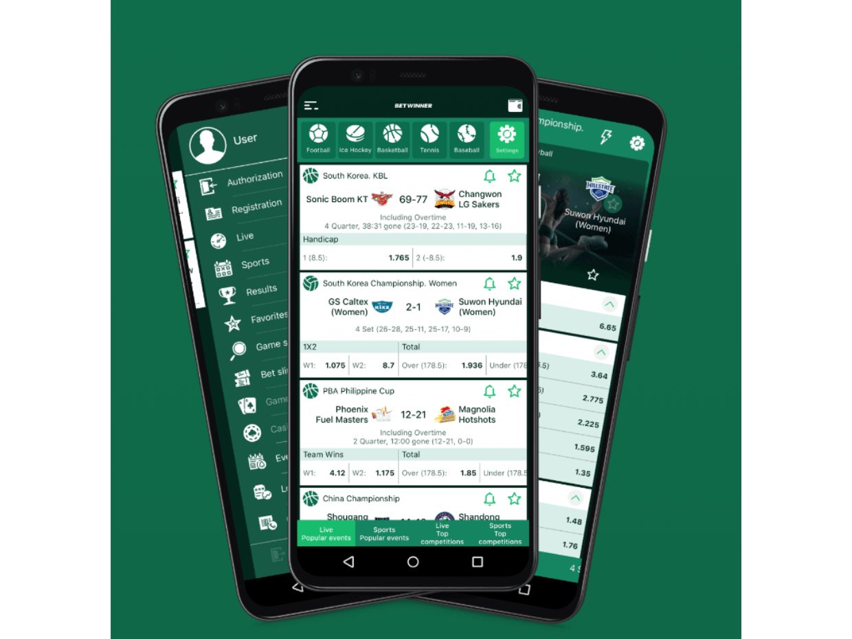 BetWinner App Design