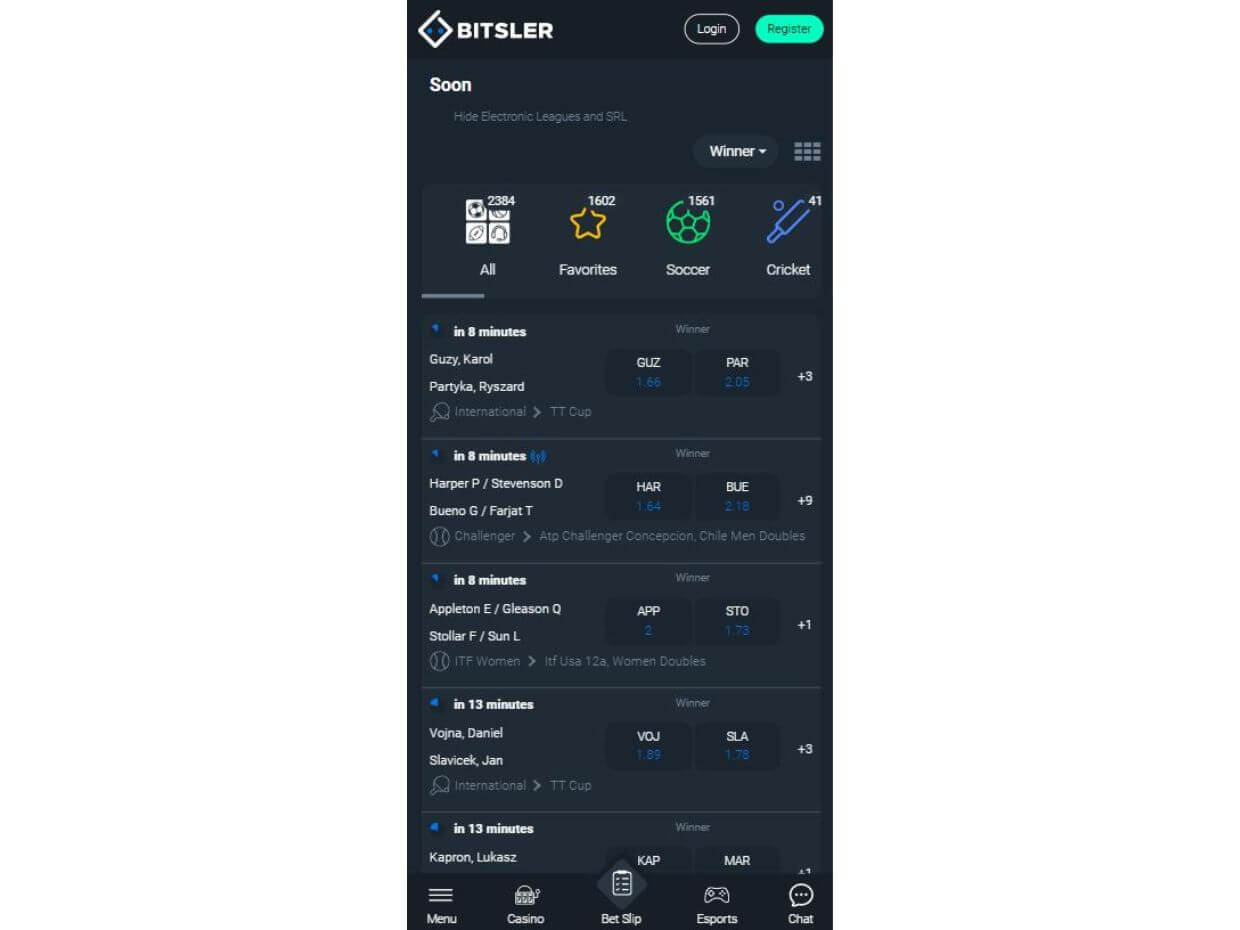 Mobile Review Bitsler