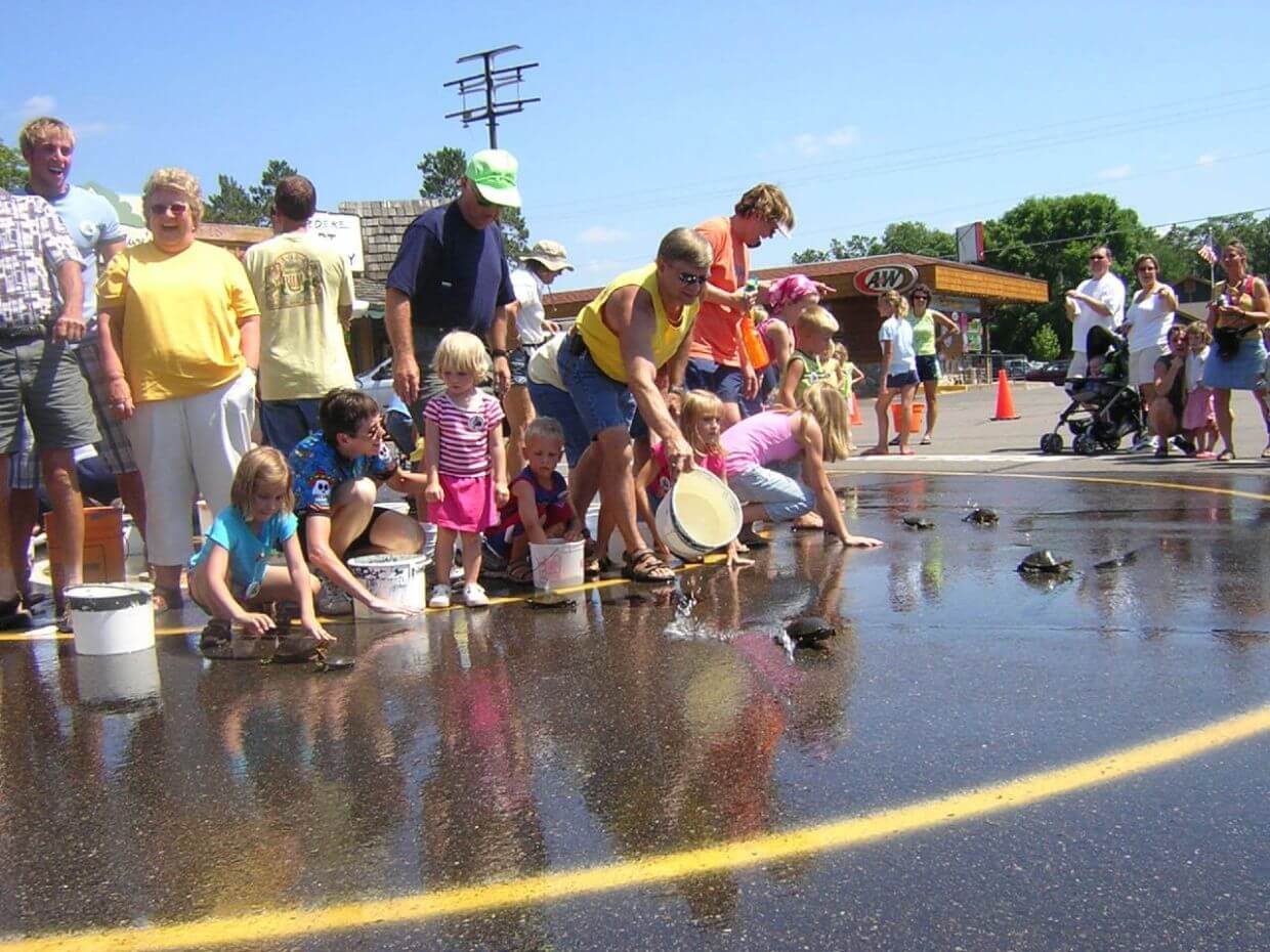 Tortoise Racing Photo