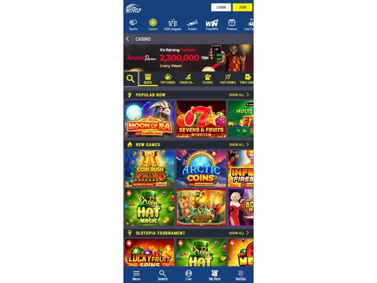 Gal Sport Betting Mobile Gaming Experience