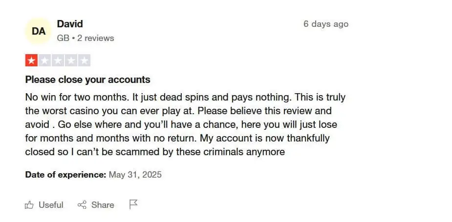 Real User Reviews Rainbet