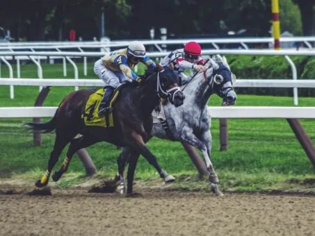 Jockeys racing horses on track for Betzillion main section